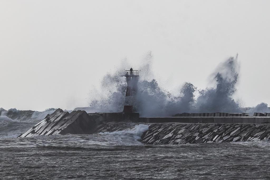 Madeira sob aviso vermelho